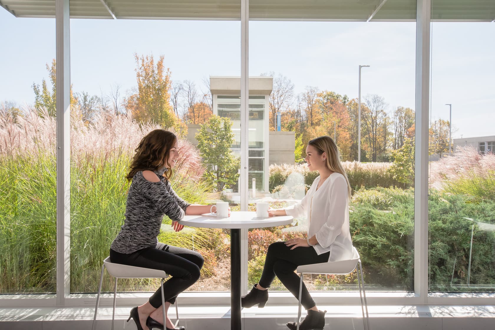 Partnership Opportunities